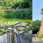 【游走大湾区】深圳南山区「鹏城十景」之一青青世界走入热带雨林感受休闲度假郊游圣地