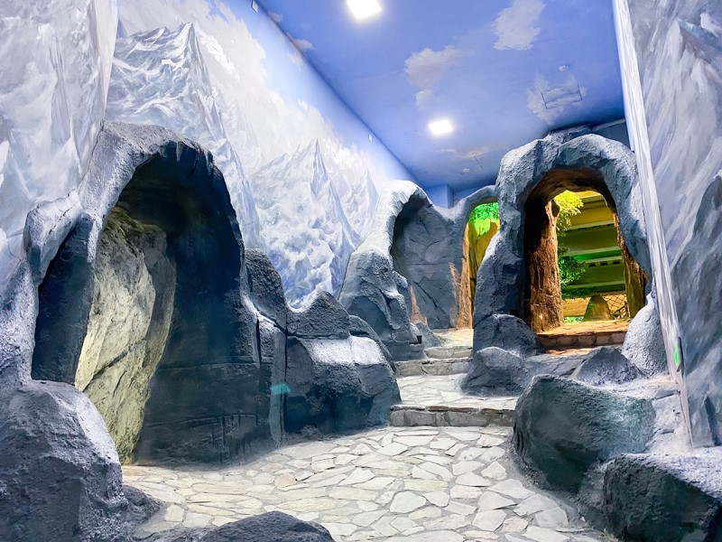 【遊走大灣區】觀瀾湖卡魯冰雪世界 深圳「滑雪館+滑冰館」一日遊