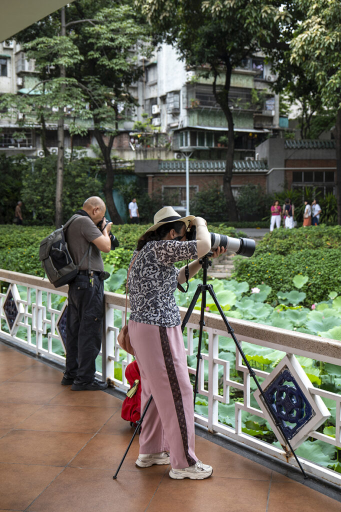 【遊走大灣區】深圳公園享港式退休時光 頤年卡開啟雙城新生活 【遊走大灣區】深圳公園享港式退休時光 頤年卡開啟雙城新生活
