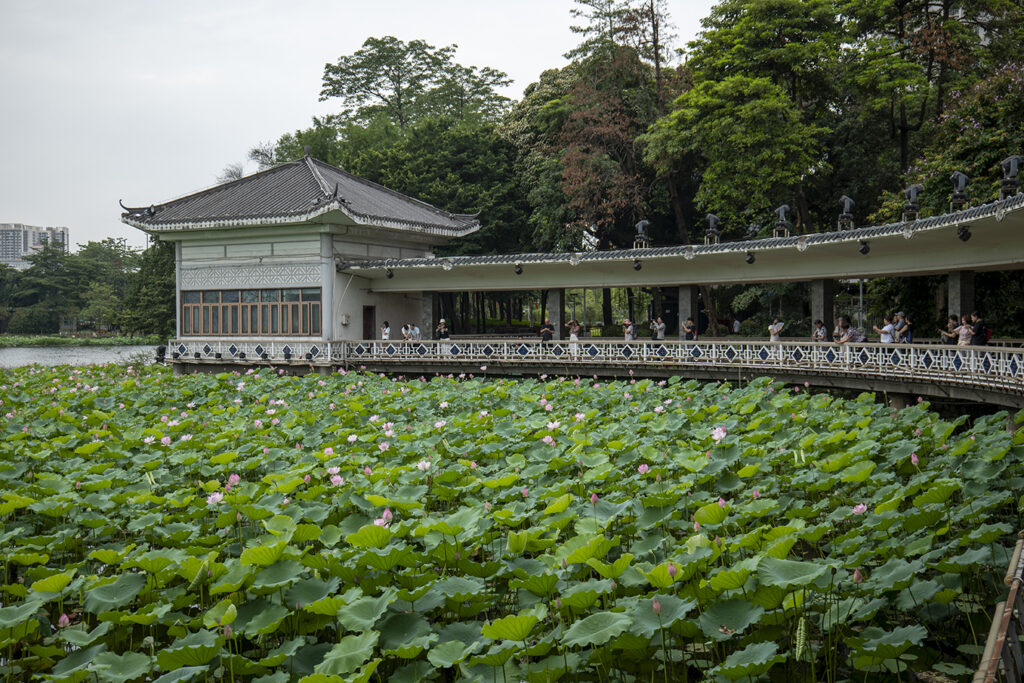 【遊走大灣區】深圳公園享港式退休時光 頤年卡開啟雙城新生活 【遊走大灣區】深圳公園享港式退休時光 頤年卡開啟雙城新生活
