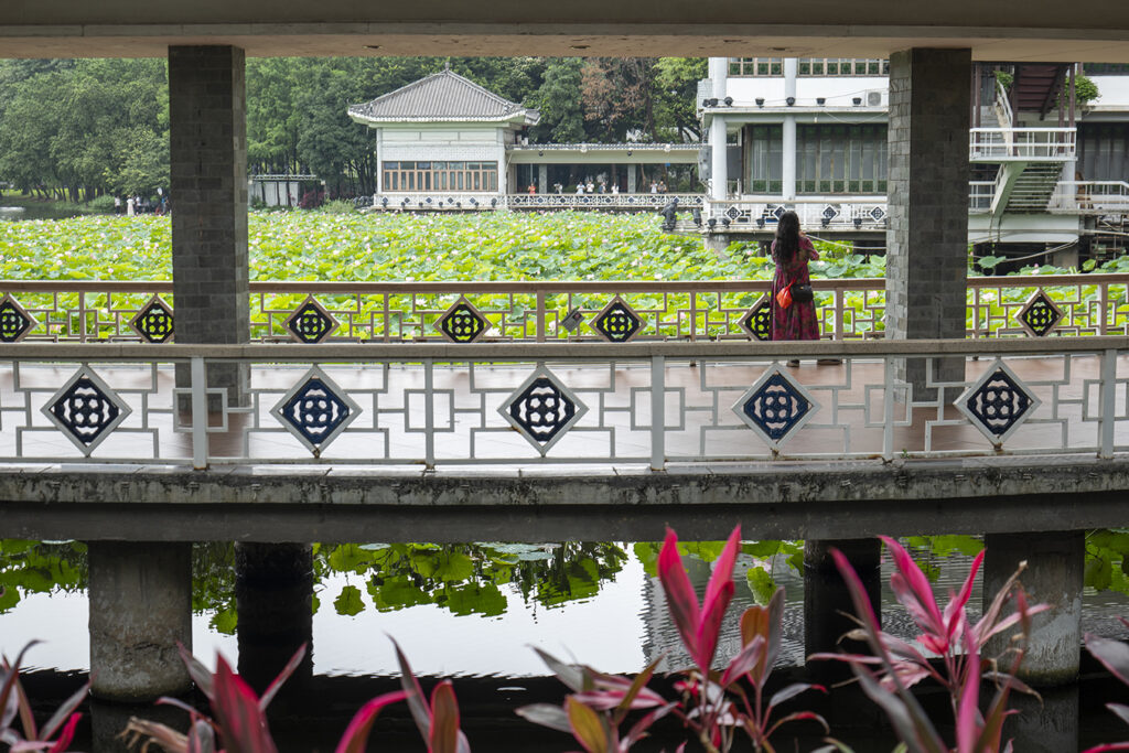【遊走大灣區】深圳公園享港式退休時光 頤年卡開啟雙城新生活 【遊走大灣區】深圳公園享港式退休時光 頤年卡開啟雙城新生活