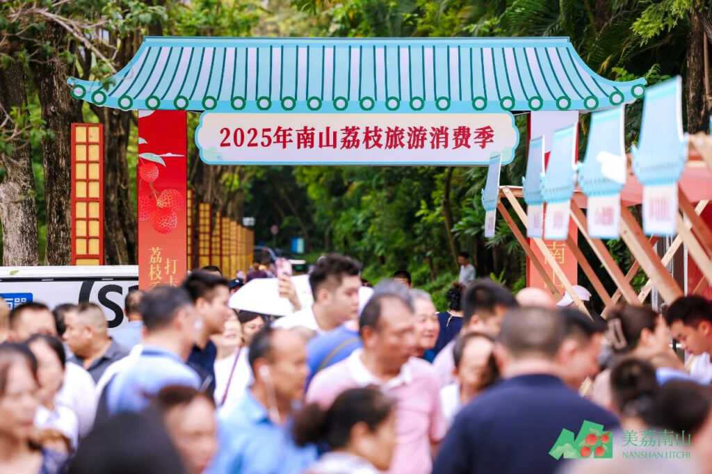【遊走大灣區】親摘深圳熟荔 再賞南山荔枝消費季 【遊走大灣區】親摘深圳熟荔 再賞南山荔枝消費季