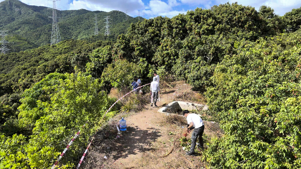 【遊走大灣區】親摘深圳熟荔 再賞南山荔枝消費季 【遊走大灣區】親摘深圳熟荔 再賞南山荔枝消費季