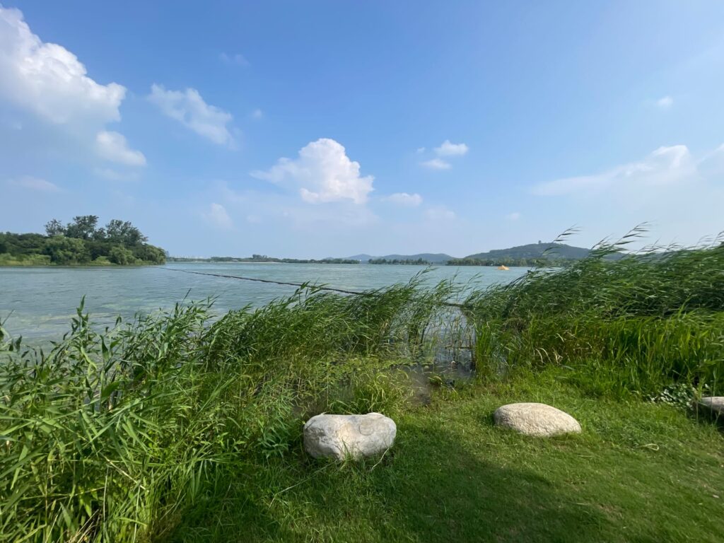 「2025年粵港澳大灣區媒體無錫行」 蠡湖優化工程 修復生態環境 「2025年粵港澳大灣區媒體無錫行」 蠡湖優化工程 修復生態環境