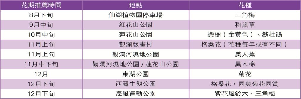【遊走大灣區】夏日鵬城繁花競放 花海如浪席捲全城 【遊走大灣區】夏日鵬城繁花競放 花海如浪席捲全城