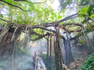 最新消息 最新消息