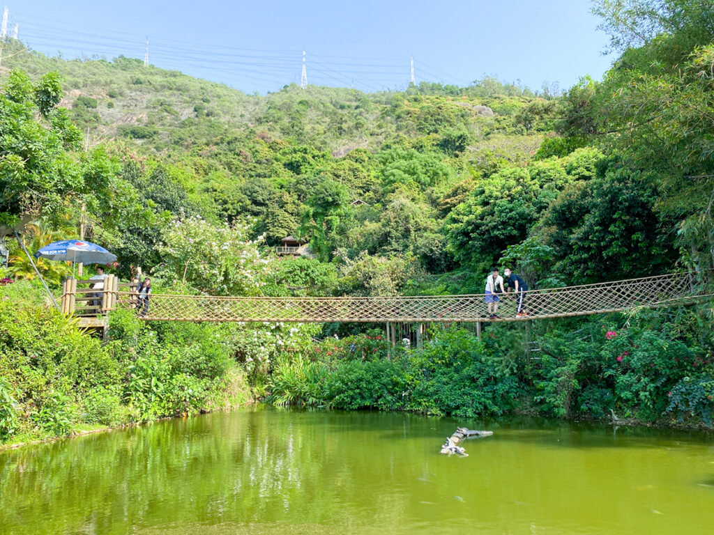 深圳「冷氣」玩樂地圖 商場避暑 探天然綠蔭清涼秘境 深圳「冷氣」玩樂地圖 商場避暑 探天然綠蔭清涼秘境