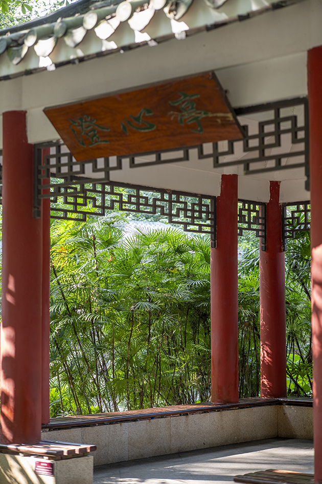 【游走大湾区】秋日重阳登高览胜深圳名山精选传承千年雅意 【游走大湾区】秋日重阳登高览胜深圳名山精选传承千年雅意