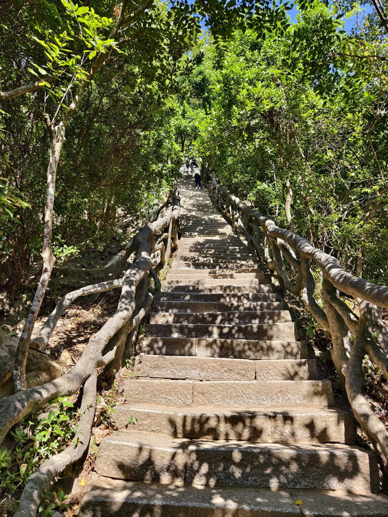【游走大湾区】秋日重阳登高览胜深圳名山精选传承千年雅意 【游走大湾区】秋日重阳登高览胜深圳名山精选传承千年雅意