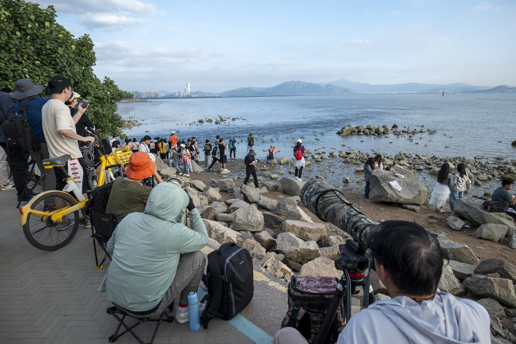 【遊走大灣區】漫步深圳秋冬的詩意與煙火 六大公園尋幽指南 【遊走大灣區】漫步深圳秋冬的詩意與煙火 六大公園尋幽指南