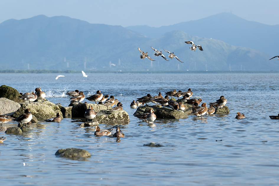 【遊走大灣區】漫步深圳秋冬的詩意與煙火 六大公園尋幽指南 【遊走大灣區】漫步深圳秋冬的詩意與煙火 六大公園尋幽指南