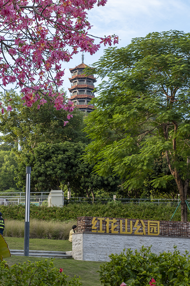 【遊走大灣區】漫步深圳秋冬的詩意與煙火 六大公園尋幽指南 【遊走大灣區】漫步深圳秋冬的詩意與煙火 六大公園尋幽指南