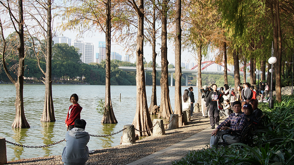 【遊走大灣區】漫步深圳秋冬的詩意與煙火 六大公園尋幽指南 【遊走大灣區】漫步深圳秋冬的詩意與煙火 六大公園尋幽指南