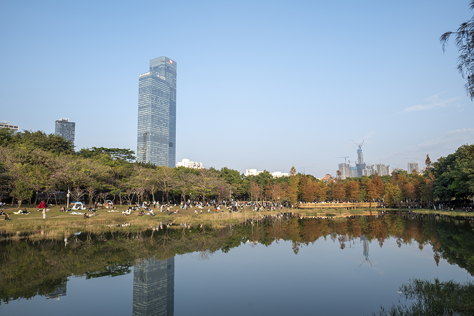 【遊走大灣區】漫步深圳秋冬的詩意與煙火 六大公園尋幽指南 【遊走大灣區】漫步深圳秋冬的詩意與煙火 六大公園尋幽指南