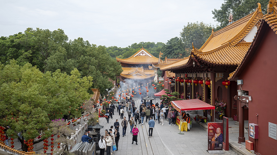 【遊走大灣區】漫步深圳秋冬的詩意與煙火 六大公園尋幽指南 【遊走大灣區】漫步深圳秋冬的詩意與煙火 六大公園尋幽指南