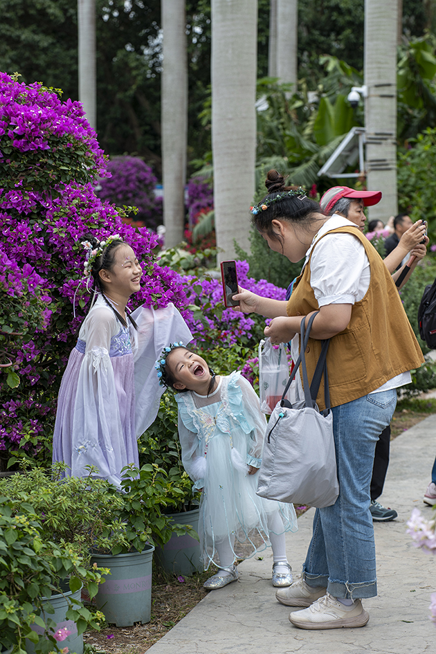 【游走大湾区】鹏城花开日记取邂逅时