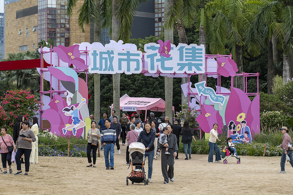 【游走大湾区】鹏城花开日记取邂逅时