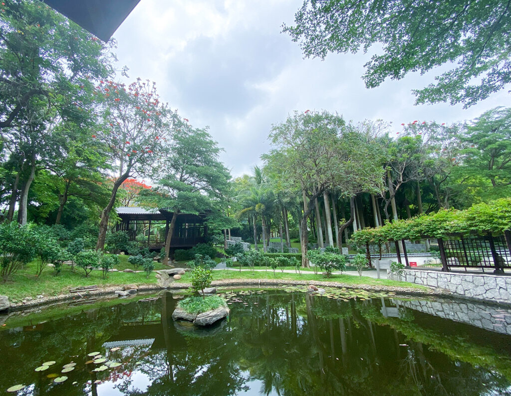 【游走大湾区】鹏城花开日记取邂逅时