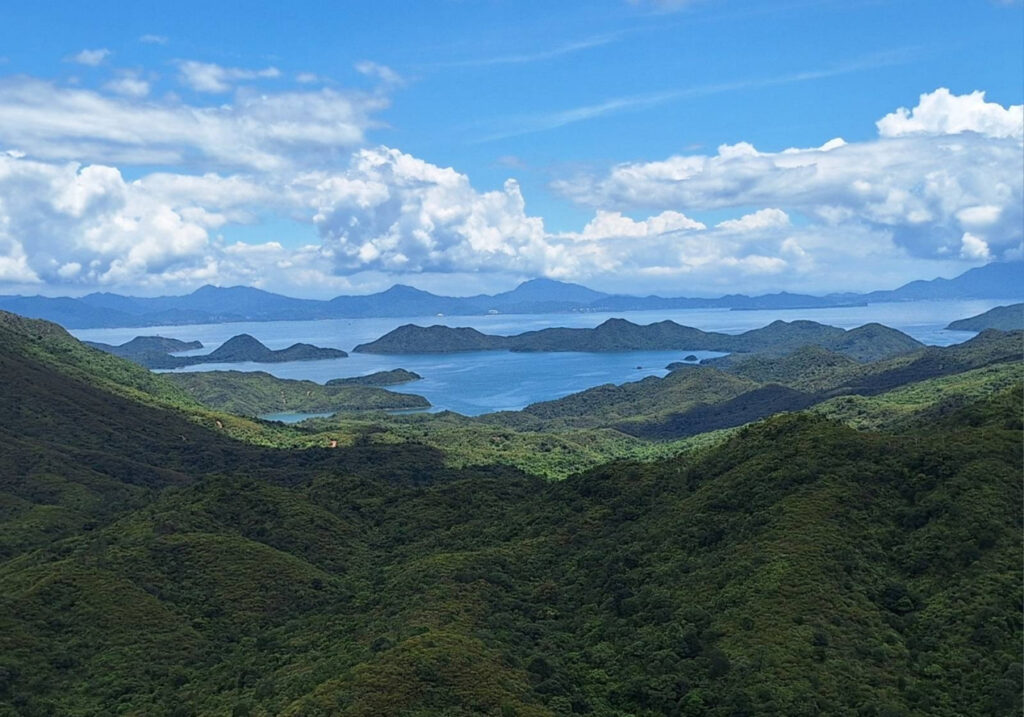 【文化綠蔭】■ 【文化綠蔭】■