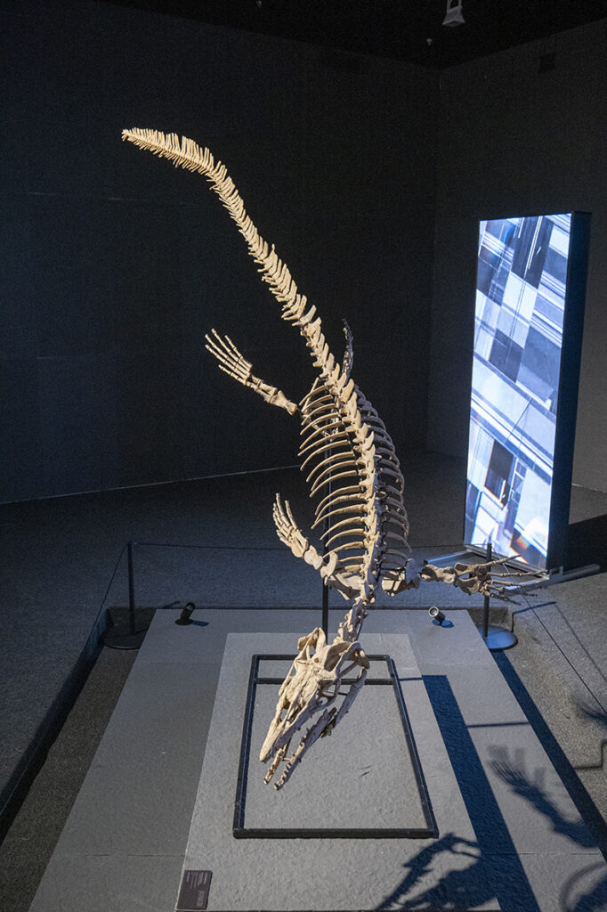 【遊走大灣區】跨次元文化襲深圳 恐龍、寶可夢、優獸同台競彩 【遊走大灣區】跨次元文化襲深圳 恐龍、寶可夢、優獸同台競彩