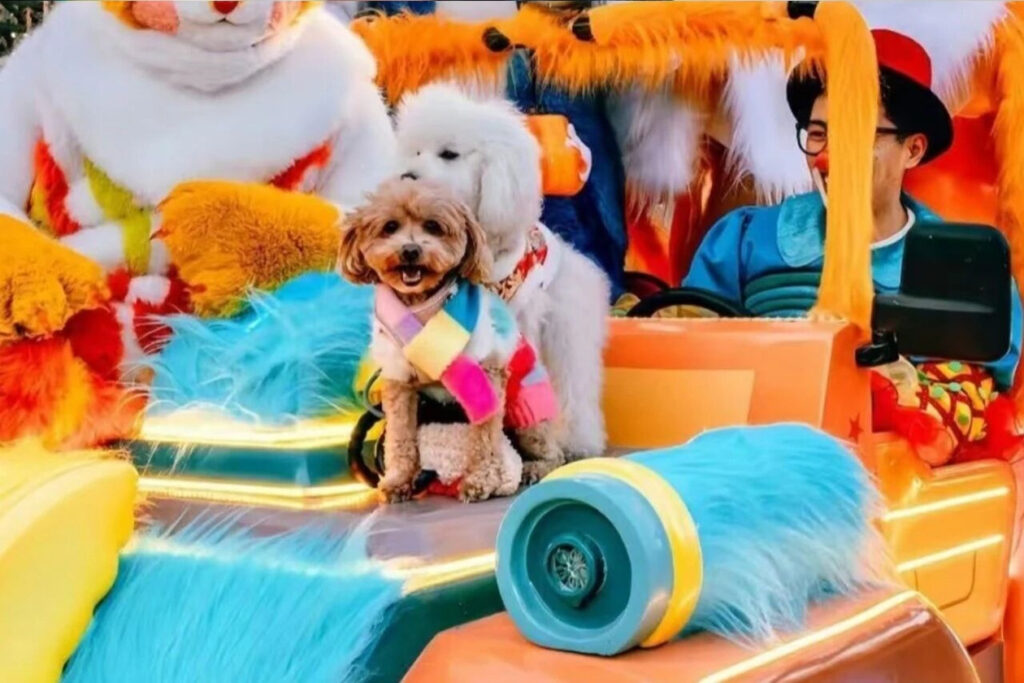 【遊走大灣區】深圳2026跨年狂歡 遊樂園 聽音樂會 踏入新一年