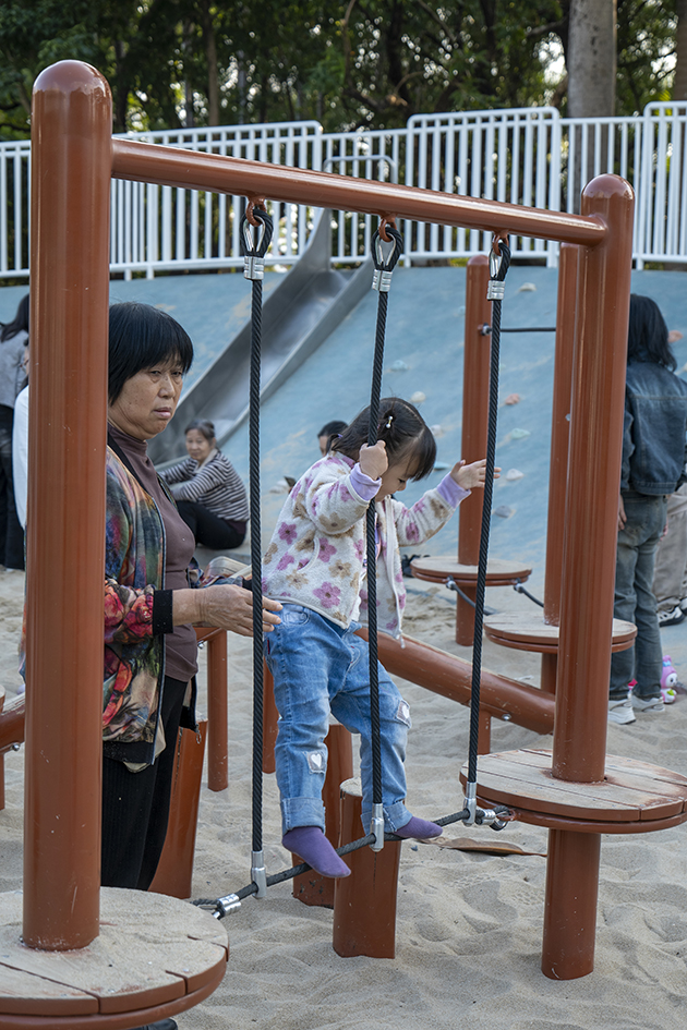 【游走大湾区】2026亲子漫游发掘城市野趣携手子女共创新年新记忆 【游走大湾区】2026亲子漫游发掘城市野趣携手子女共创新年新记忆