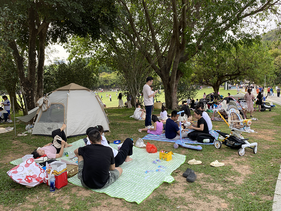 【游走大湾区】2026亲子漫游发掘城市野趣携手子女共创新年新记忆 【游走大湾区】2026亲子漫游发掘城市野趣携手子女共创新年新记忆