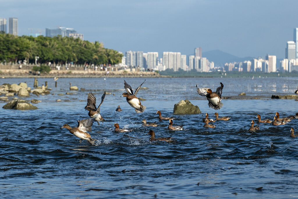 【游走大湾区】2026亲子漫游发掘城市野趣携手子女共创新年新记忆 【游走大湾区】2026亲子漫游发掘城市野趣携手子女共创新年新记忆