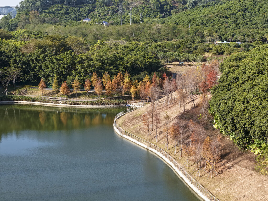 【遊走大灣區】乘地鐵13號線 探索城市後花園 邂逅環西麗湖「橘紅秘境」