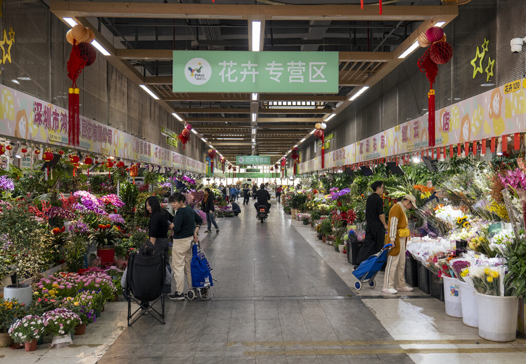 【游走大湾区】北上办年货采购新花样探寻地道实惠的年味宝藏 【游走大湾区】北上办年货采购新花样探寻地道实惠的年味宝藏