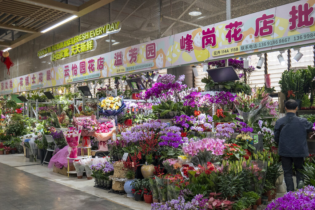 【游走大湾区】北上办年货采购新花样探寻地道实惠的年味宝藏 【游走大湾区】北上办年货采购新花样探寻地道实惠的年味宝藏