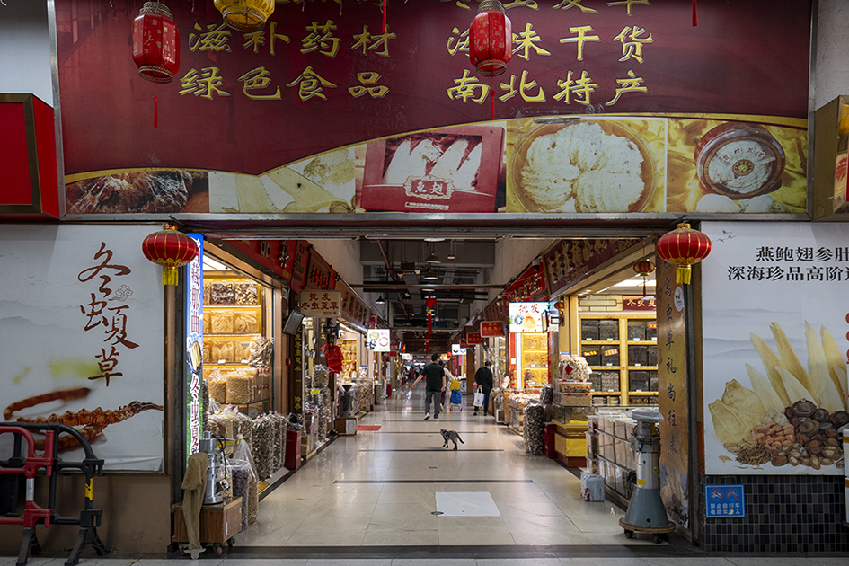 【游走大湾区】北上办年货采购新花样探寻地道实惠的年味宝藏 【游走大湾区】北上办年货采购新花样探寻地道实惠的年味宝藏