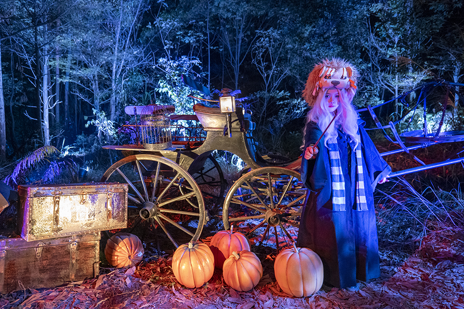 【遊走大灣區】「新正頭 」百無禁忌 揮魔杖 闖「哈利‧波特」魔法森林 【遊走大灣區】「新正頭 」百無禁忌 揮魔杖 闖「哈利‧波特」魔法森林