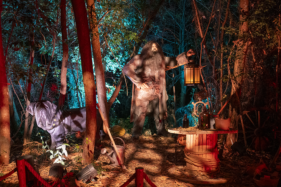 【遊走大灣區】「新正頭 」百無禁忌 揮魔杖 闖「哈利‧波特」魔法森林 【遊走大灣區】「新正頭 」百無禁忌 揮魔杖 闖「哈利‧波特」魔法森林