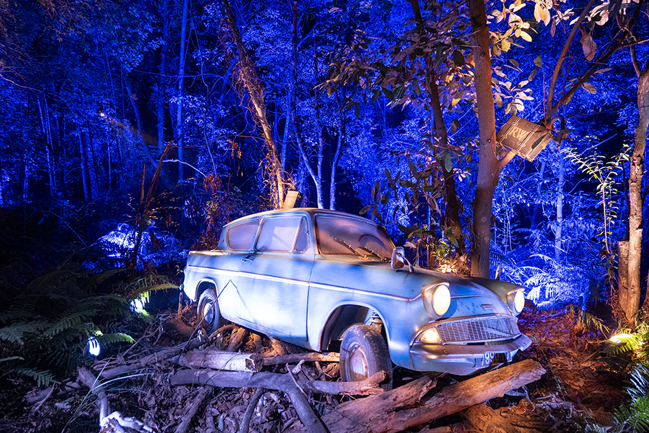 【遊走大灣區】「新正頭 」百無禁忌 揮魔杖 闖「哈利‧波特」魔法森林 【遊走大灣區】「新正頭 」百無禁忌 揮魔杖 闖「哈利‧波特」魔法森林