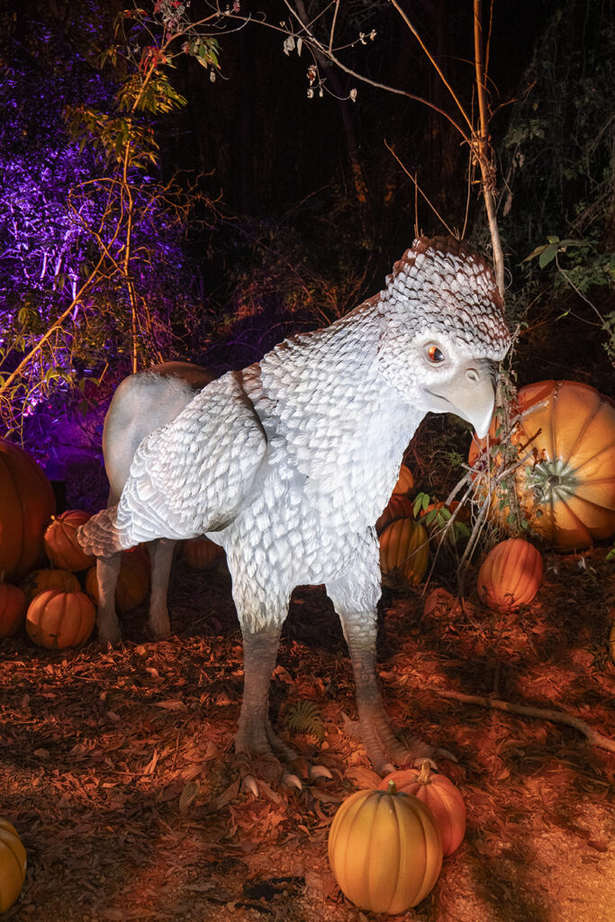 【遊走大灣區】「新正頭 」百無禁忌 揮魔杖 闖「哈利‧波特」魔法森林 【遊走大灣區】「新正頭 」百無禁忌 揮魔杖 闖「哈利‧波特」魔法森林