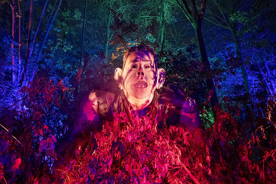 【遊走大灣區】「新正頭 」百無禁忌 揮魔杖 闖「哈利‧波特」魔法森林 【遊走大灣區】「新正頭 」百無禁忌 揮魔杖 闖「哈利‧波特」魔法森林