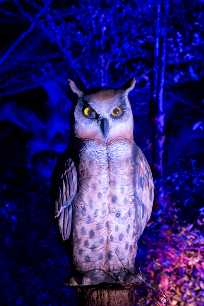 【遊走大灣區】「新正頭 」百無禁忌 揮魔杖 闖「哈利‧波特」魔法森林 【遊走大灣區】「新正頭 」百無禁忌 揮魔杖 闖「哈利‧波特」魔法森林