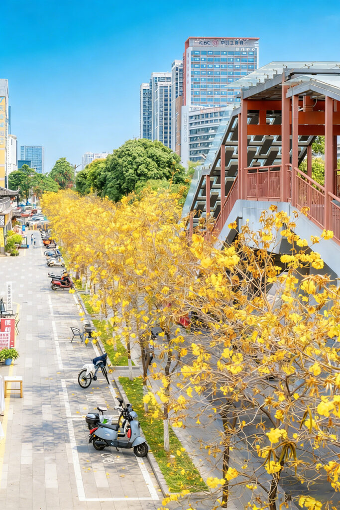 【遊走大灣區】當硬核科技遇見滿城風鈴木 綻放雙重「金色」