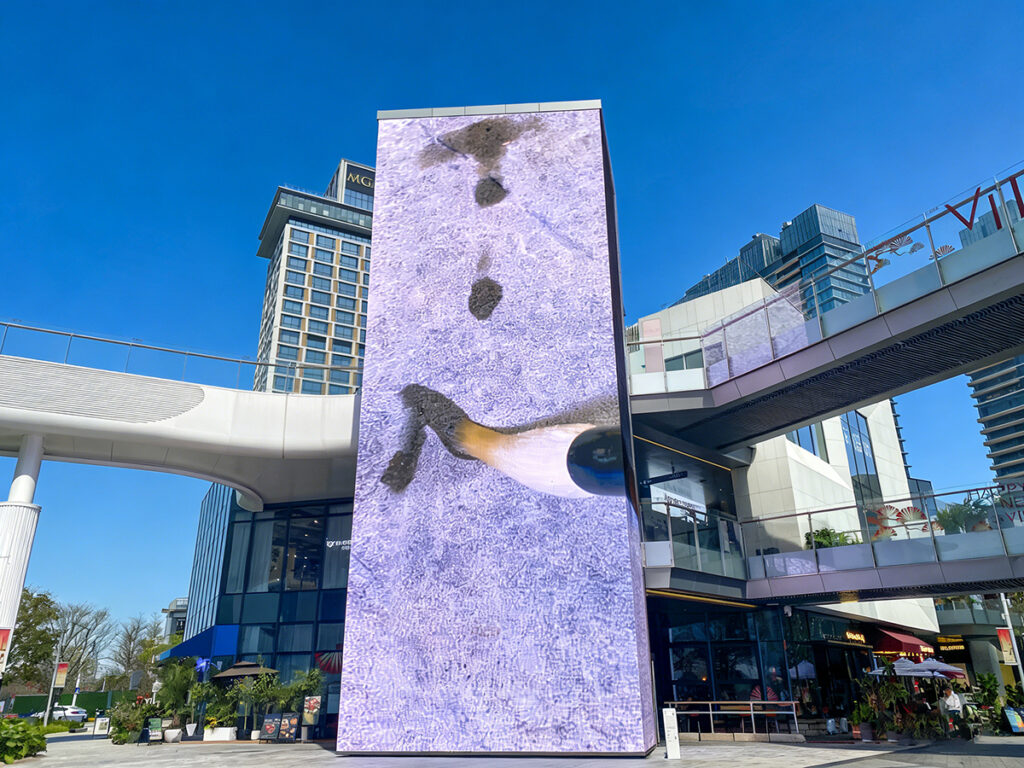 【遊走大灣區】第七屆深圳灣公共藝術季 可感 可觸 可參與