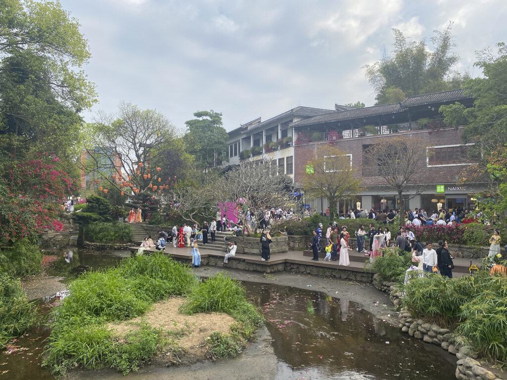 【遊走大灣區】花漫甘坑 赴三角梅之約 賞色 逛市 食買玩