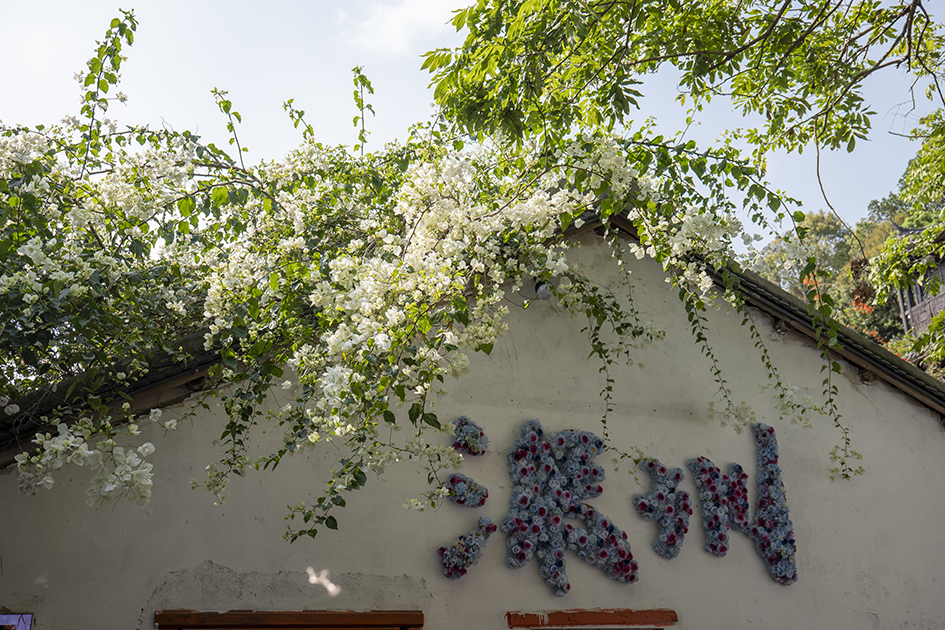 【遊走大灣區】花漫甘坑 赴三角梅之約 賞色 逛市 食買玩