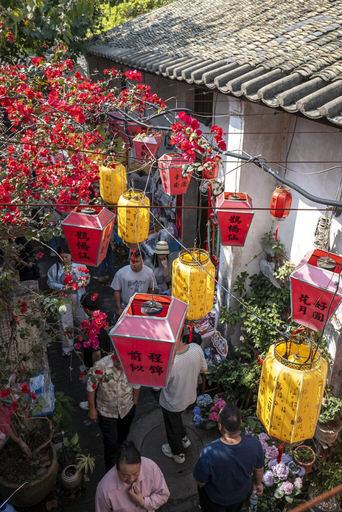 【遊走大灣區】花漫甘坑 赴三角梅之約 賞色 逛市 食買玩