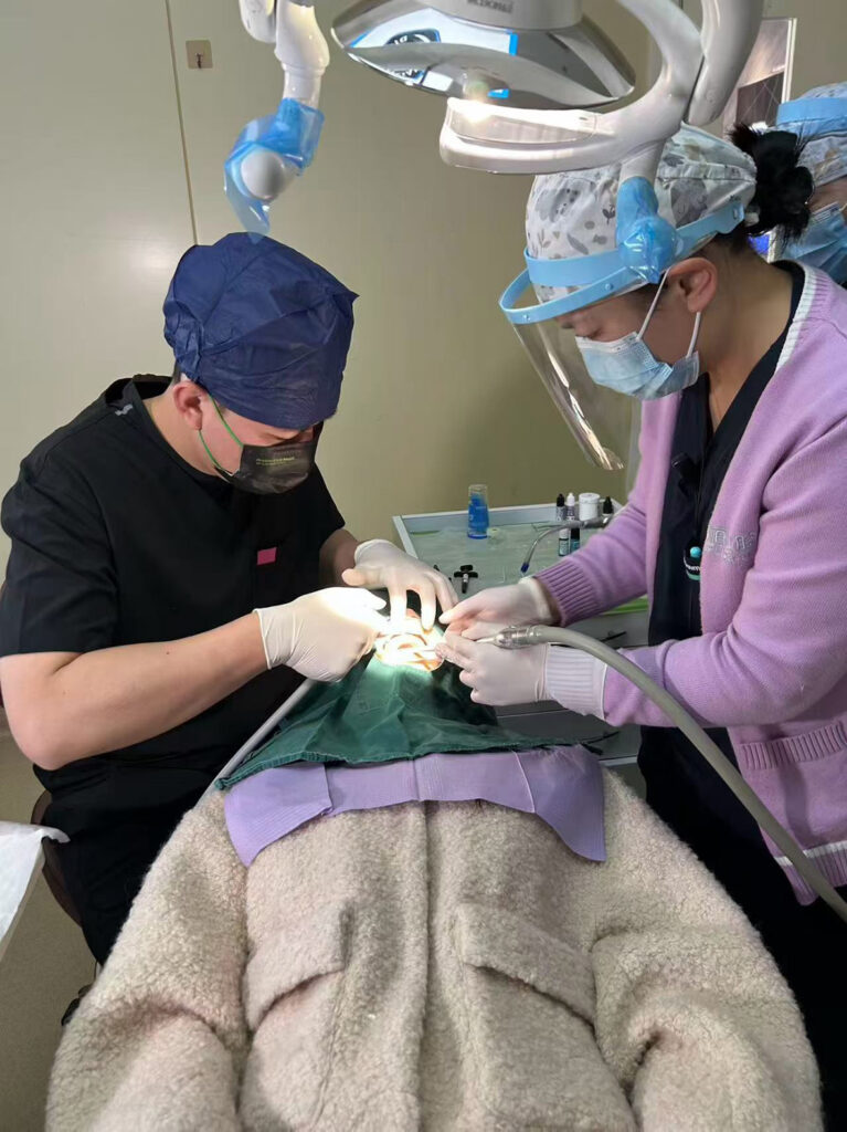 灣區信息：港人北上「 睇牙 」熱潮持續 鼎植口腔踐行「老有所護、齒健安康」