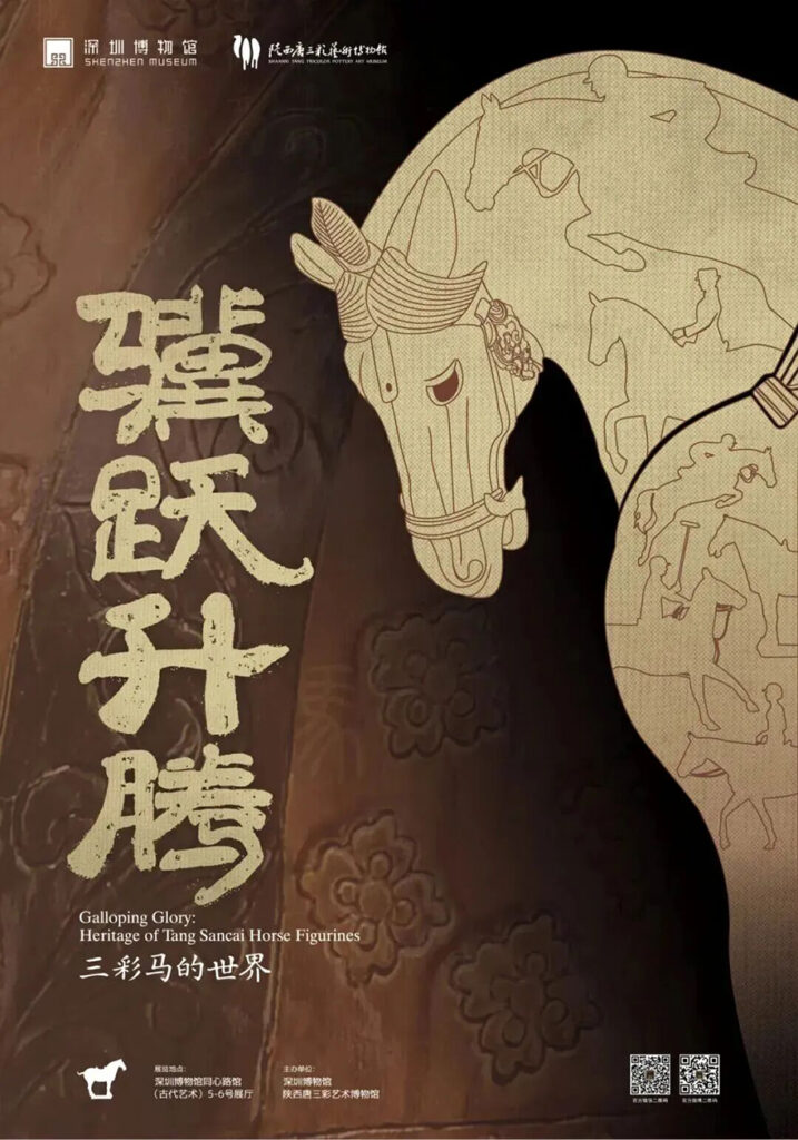 深圳两博物馆开启暑假夜览模式 深圳两博物馆开启暑假夜览模式
